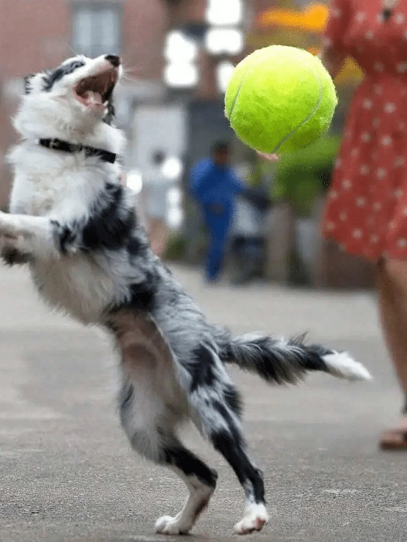 Durable 9.5 Inch Bouncy Dog Tennis Ball For Training