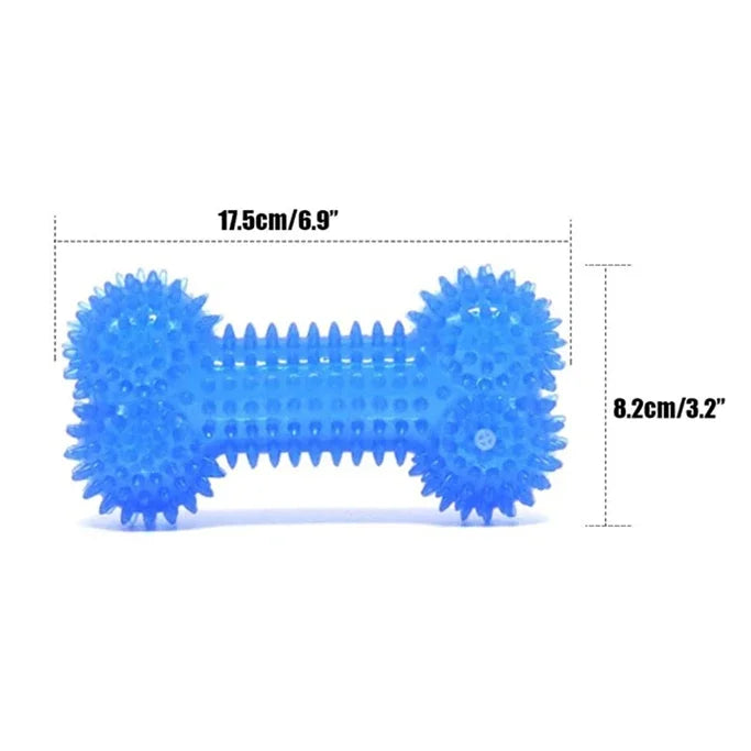 Ice Series Pet Toys Ice Bone Ball for Dogs