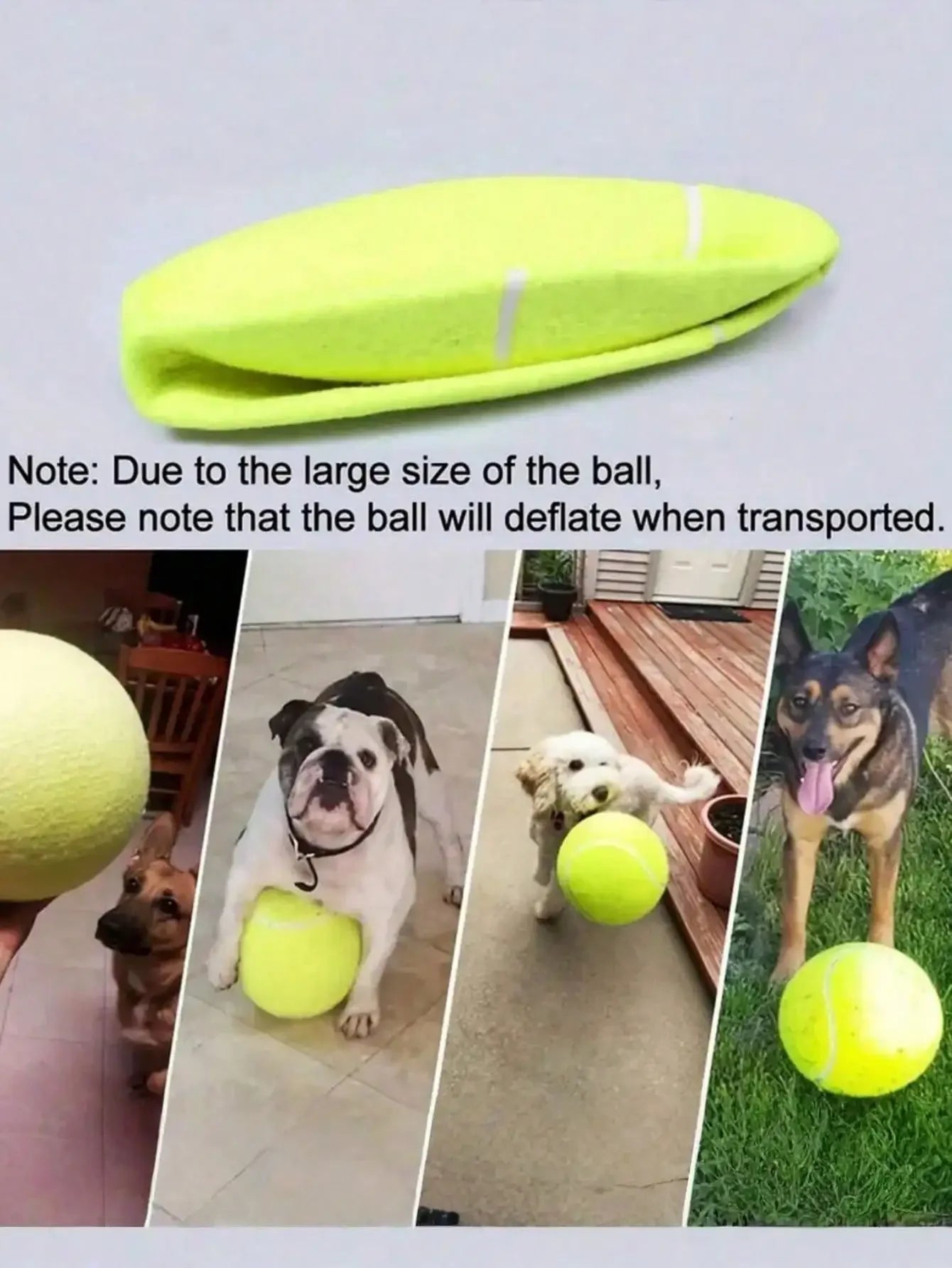 Durable 9.5 Inch Bouncy Dog Tennis Ball For Training