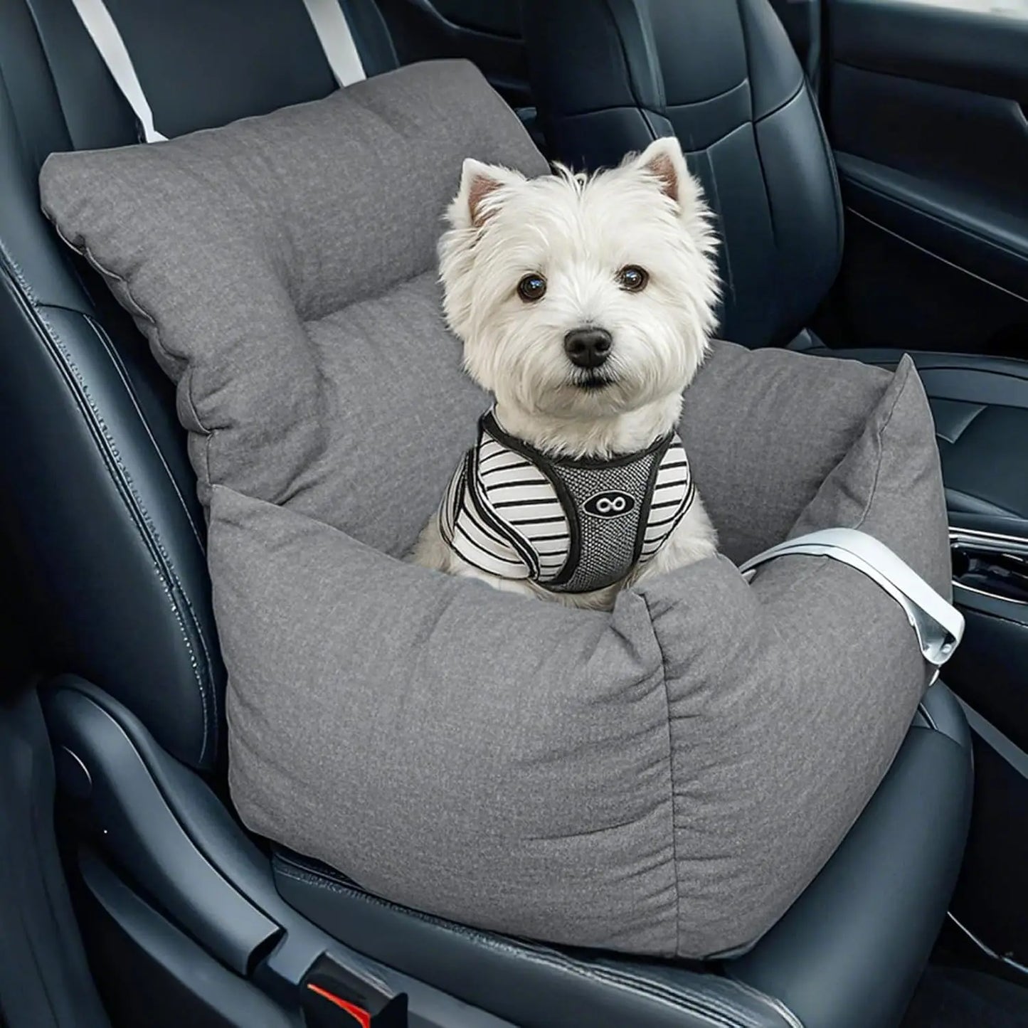 HiMISS Dog Booster Car Seat with Tether for Small Dogs