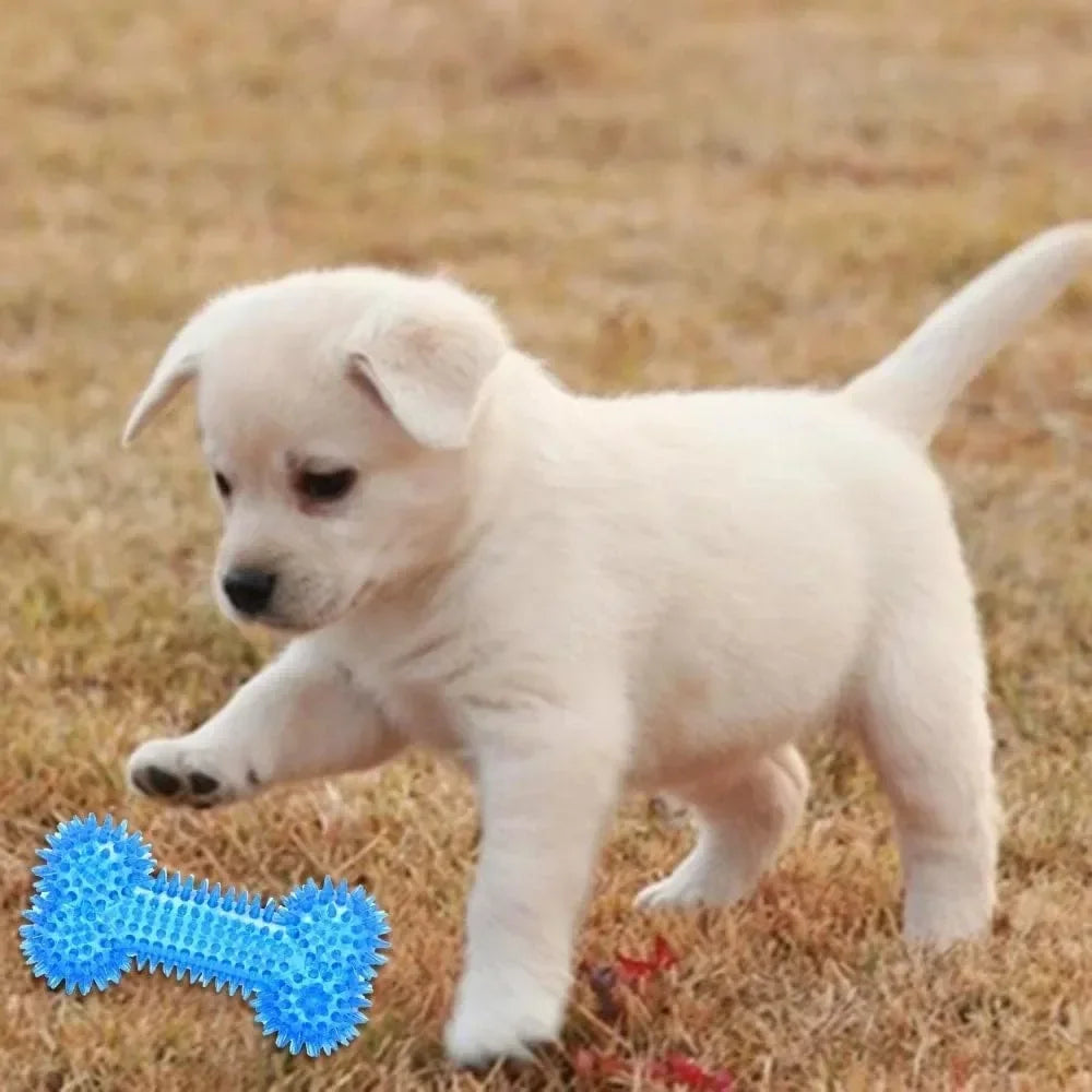 Ice Series Pet Toys Ice Bone Ball for Dogs