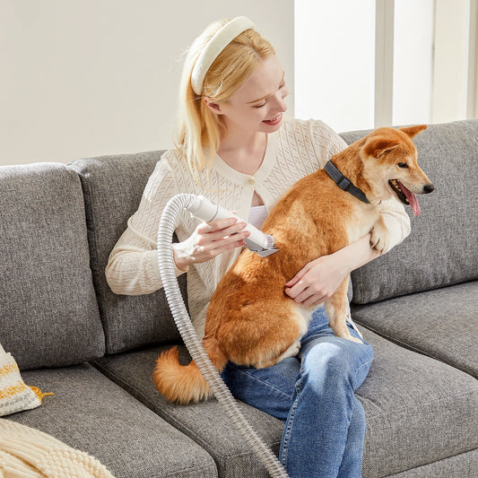 JHK 2.5L Professional Pet Grooming Vacuum Kit With Cordless Clippers