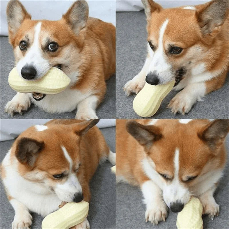 Peanut Shaped Dog Chew Toy Squeaking For Teeth Cleaning