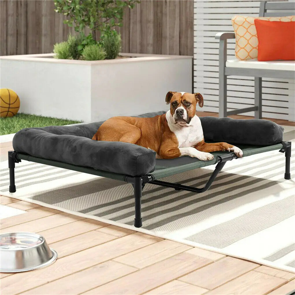 BINGOPAWCN Elevated Pet Bed For Dogs And Cats Indoor Outdoor