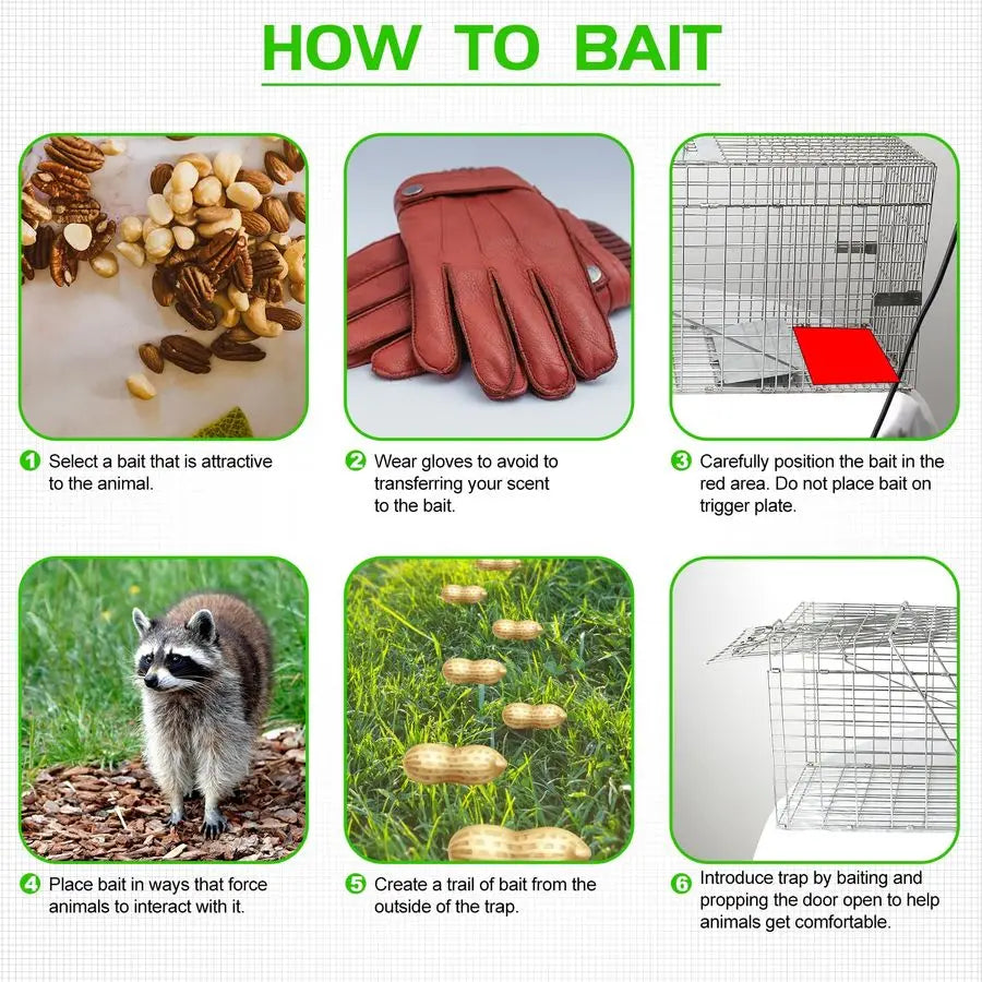 Heavy Duty Folding Live Animal Cage Trap For Raccoons