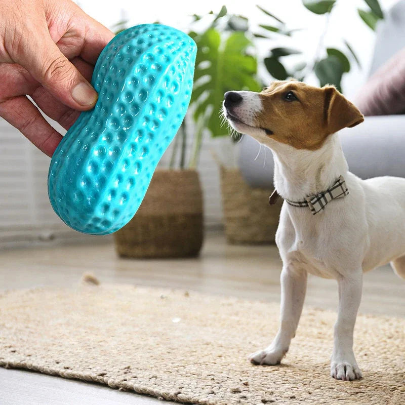 Peanut Shaped Dog Chew Toy Squeaking For Teeth Cleaning