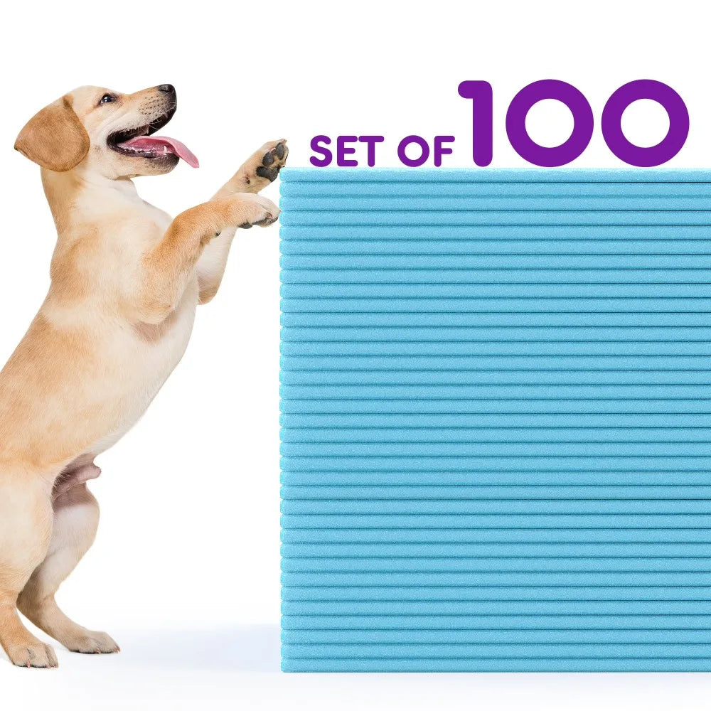 Disposable Dog Pee Pads Super Absorbent Leak Proof Puppy Training Pads 100 Count