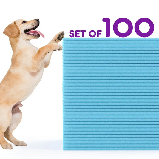 Disposable Dog Pee Pads Super Absorbent Leak Proof Puppy Training Pads 100 Count