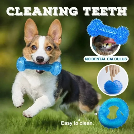 Ice Series Pet Toys Ice Bone Ball for Dogs