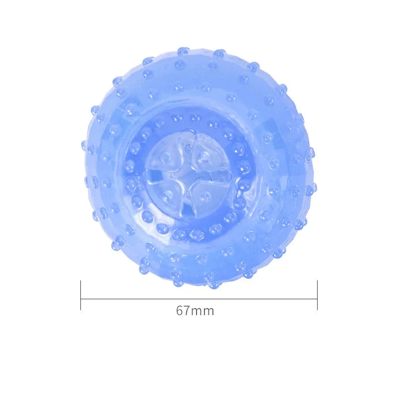 Ice Series Pet Toys Ice Bone Ball for Dogs