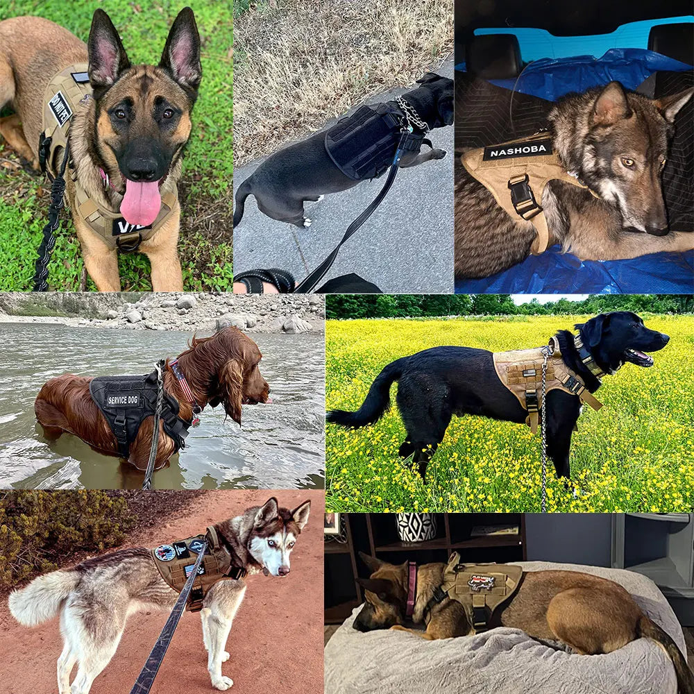 PETRAVELCN Tactical Dog Harness Leash Set For Training And Walking