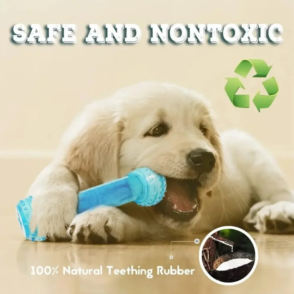 Ice Series Pet Toys Ice Bone Ball for Dogs